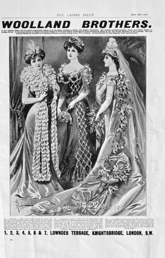 Woolland Brothers.  Lowndes Terrace, Knightsbridge, London, S.W.  1902.