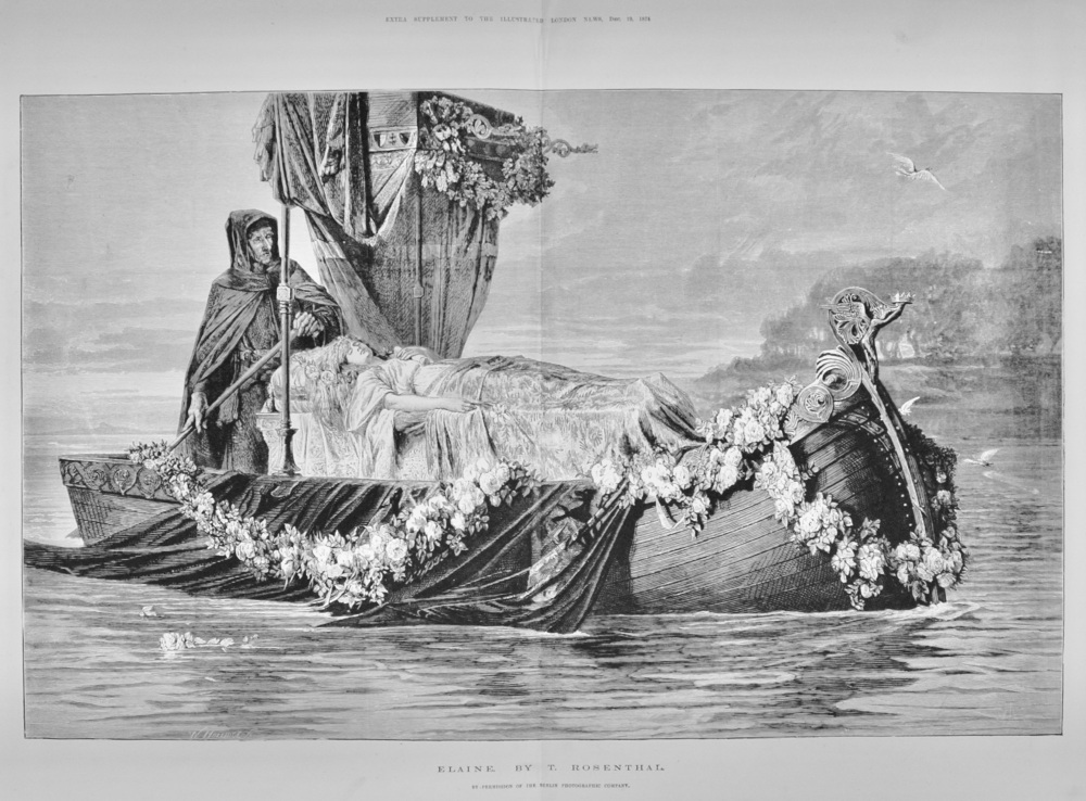 Elaine by T Rosenthal