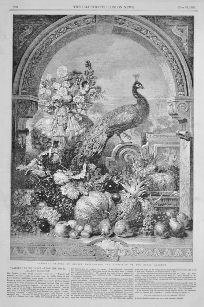 "Harold" painted by George Lance