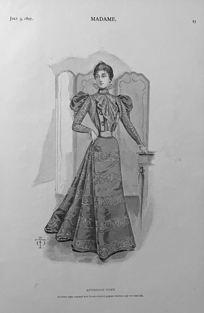 Afternoon Gown.  (Ladies' Fashion Illustration) 1897.