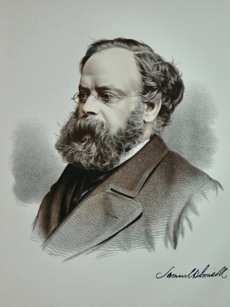 Samuel Plimsoll, Esq.,  M.P.  1876c.