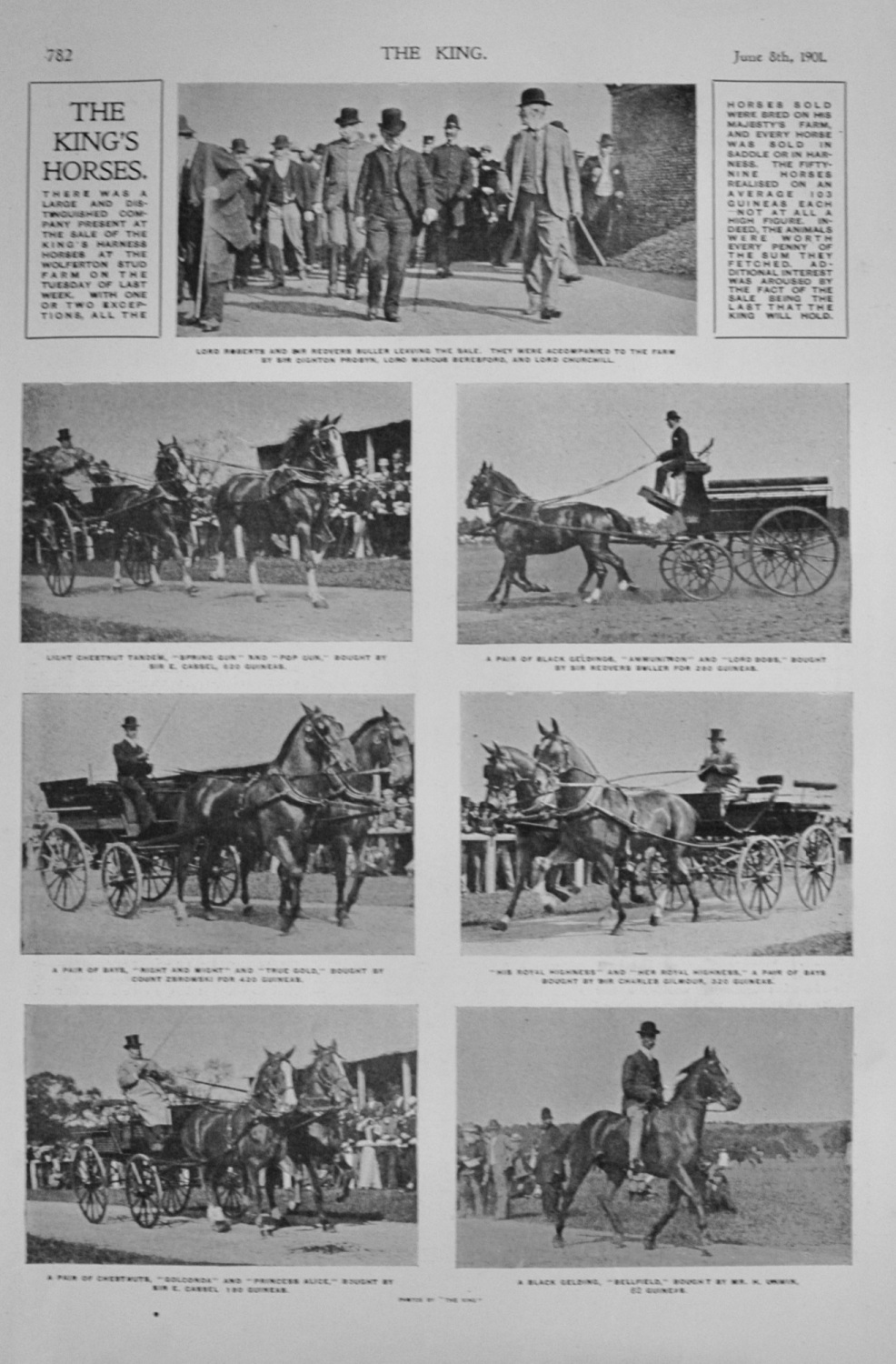 The King's Horses - Sale - 1901