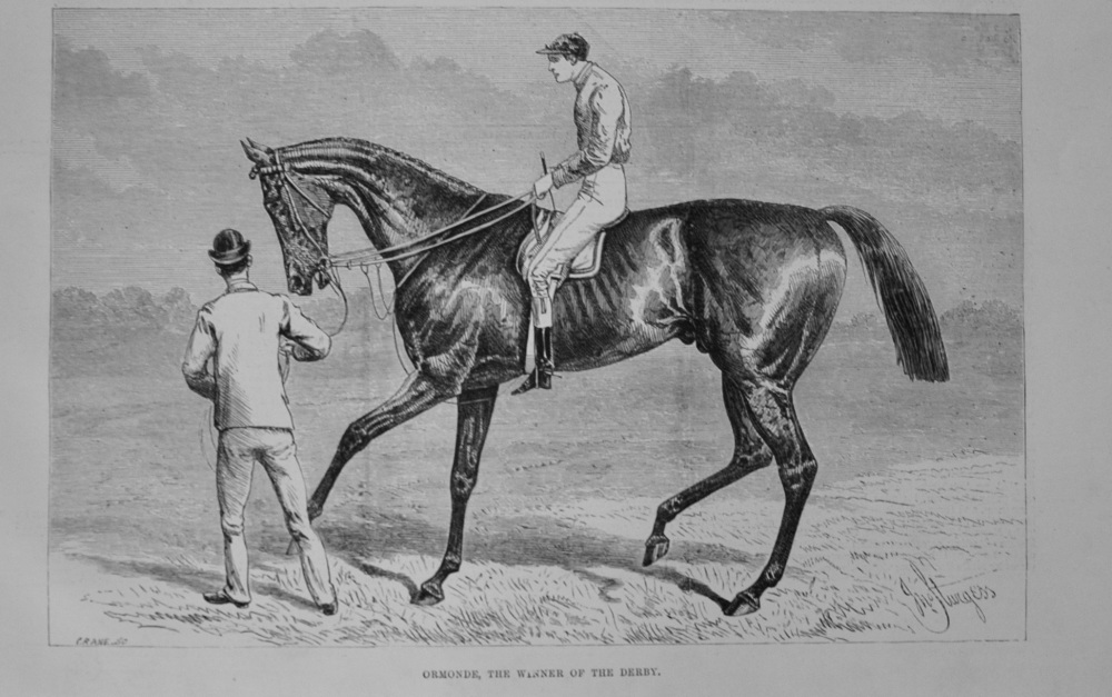 "Ormonde", Winner of the Derby