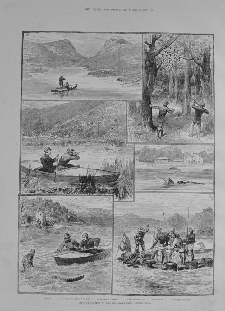 Mugger Hunting, Ajmere, India