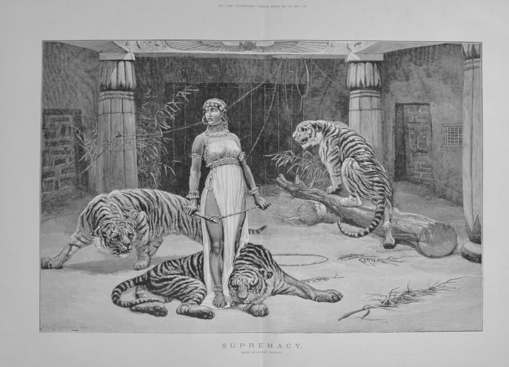 "Supremacy" by Stanley Berkley