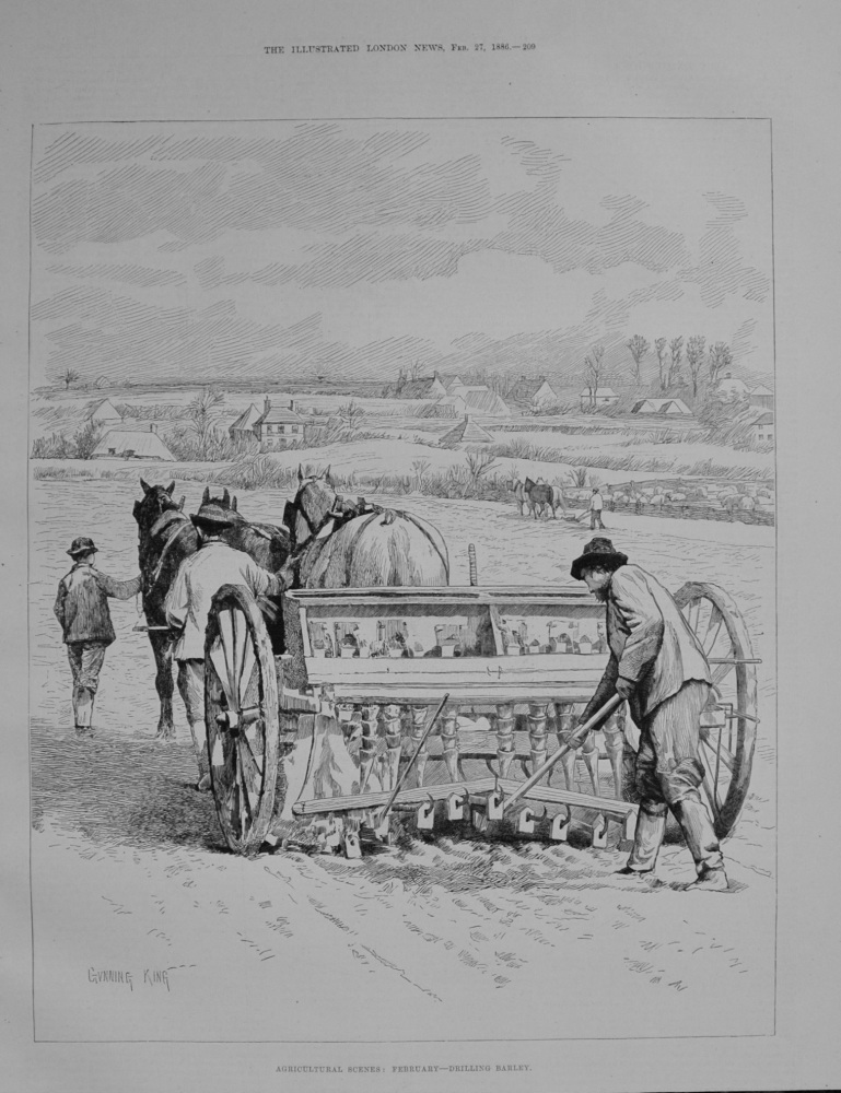 Agricultural Scenes - Drilling Barley