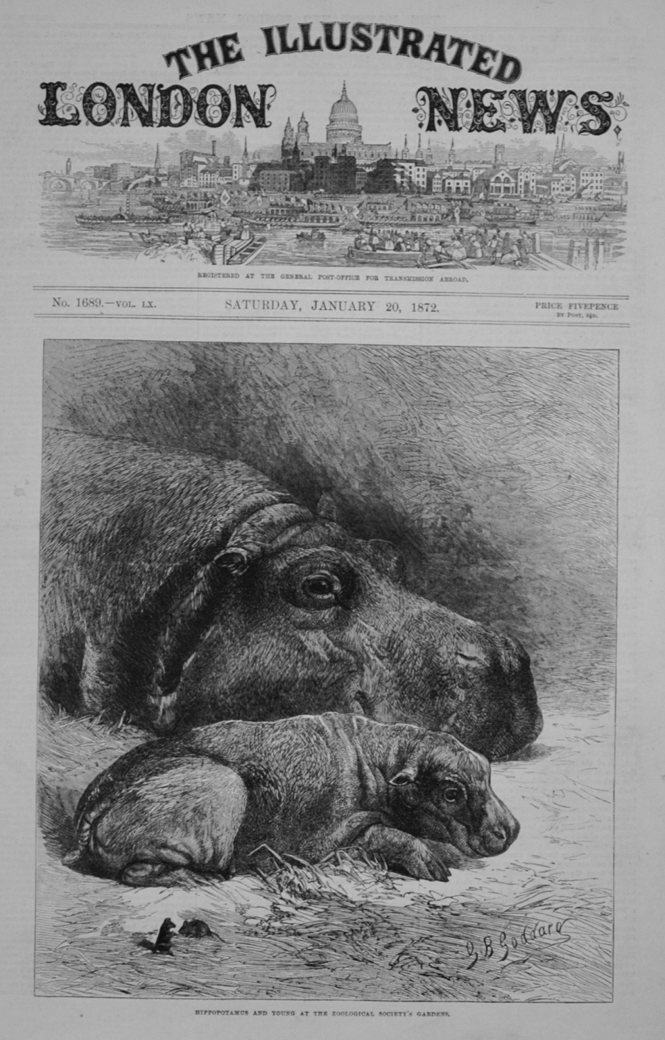 The Illustrated London News - January 20, 1872
