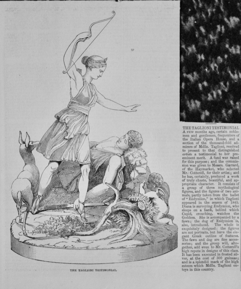 The Taglioni Testimonial