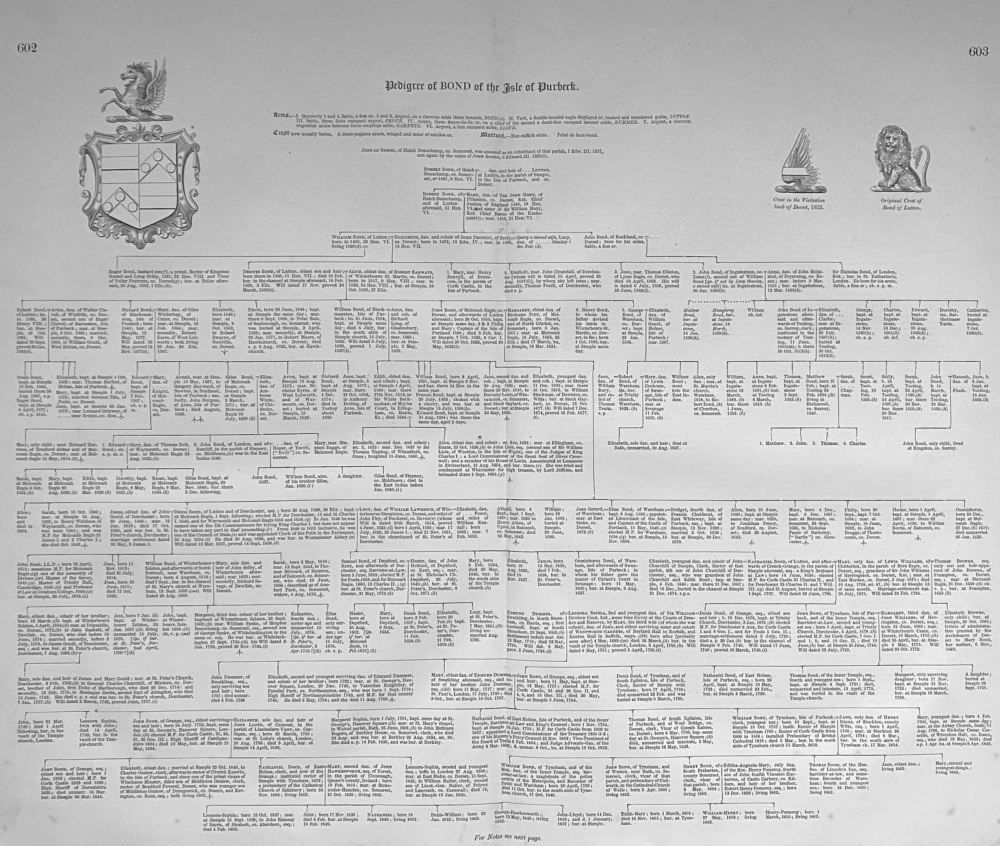 Pedigree of BOND  of the Isle of Purbeck.  Dorset.