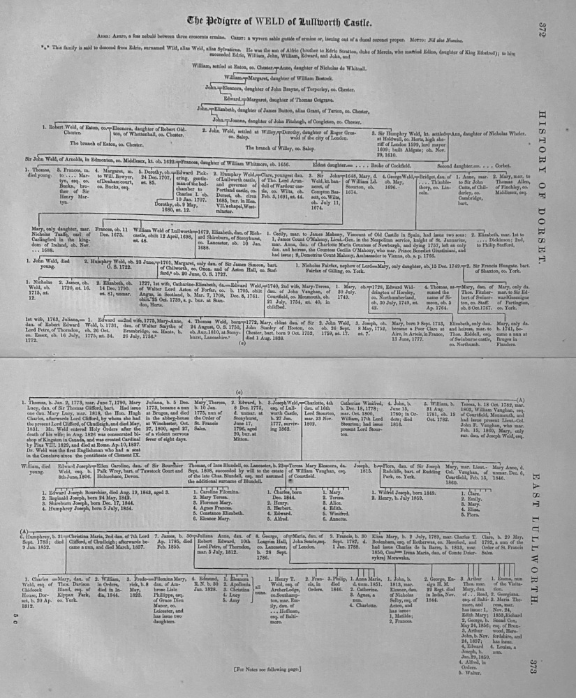 The Pedigree of WELD of Lullworth Castle.
