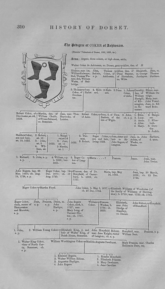 The Pedigree of COKER of Ashbosam.  Dorset.