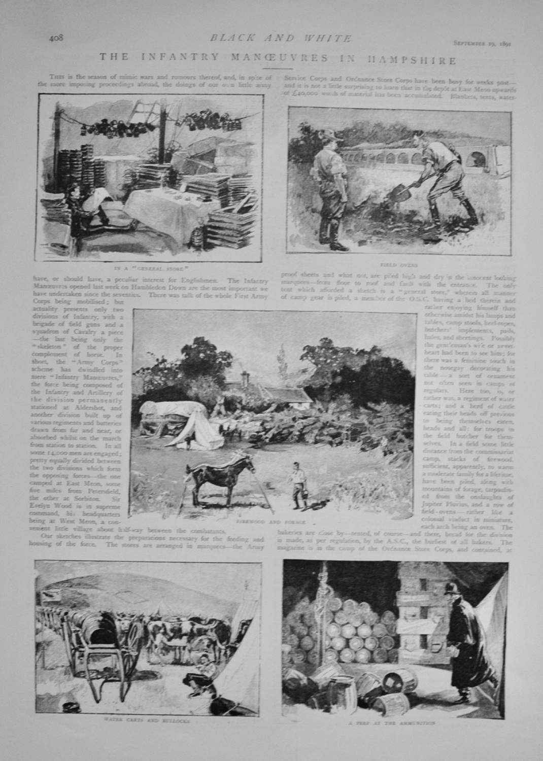 The Infantry Manoeuvres in Hampshire