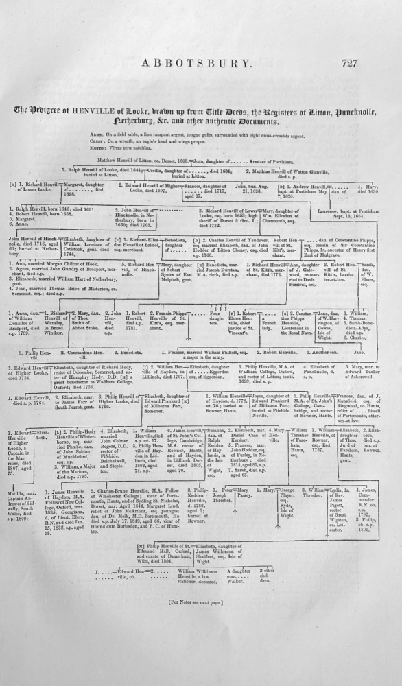 The Pedigree of Henville of Looke, drawn up from Title Deeds, the Registers of Litton, Puncknolle, Netherbury. &c.  (Dorsetshire).