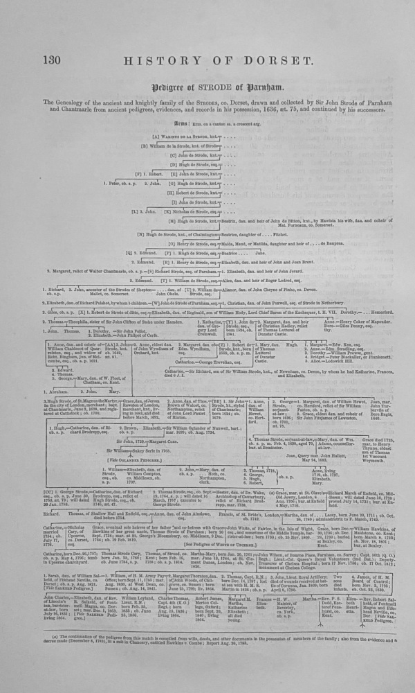 Pedigree of STRODE at Parnham.  (Dorset) 1863.