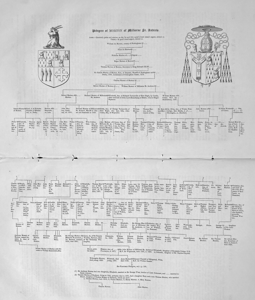 Pedigree of MORTON of Milborne St. Andrew.  Dorset.