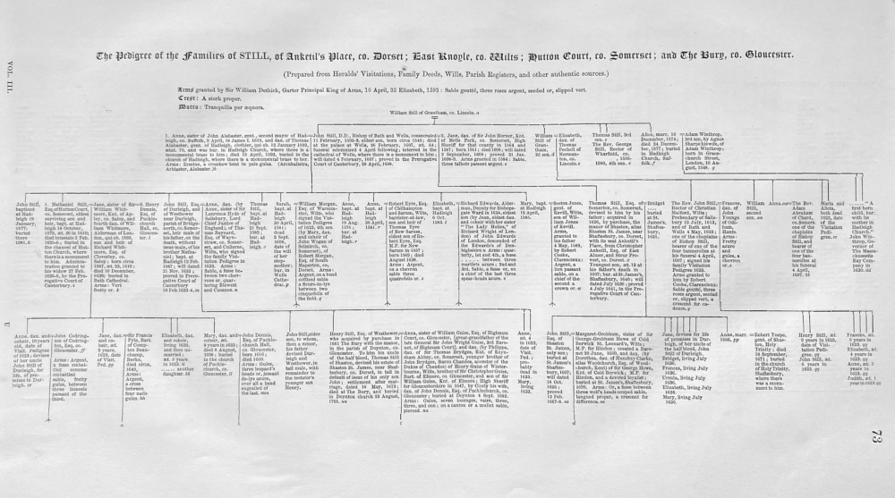 The Pedigree of the Families of STILL, of Anketil's Place, co.. Dorset.