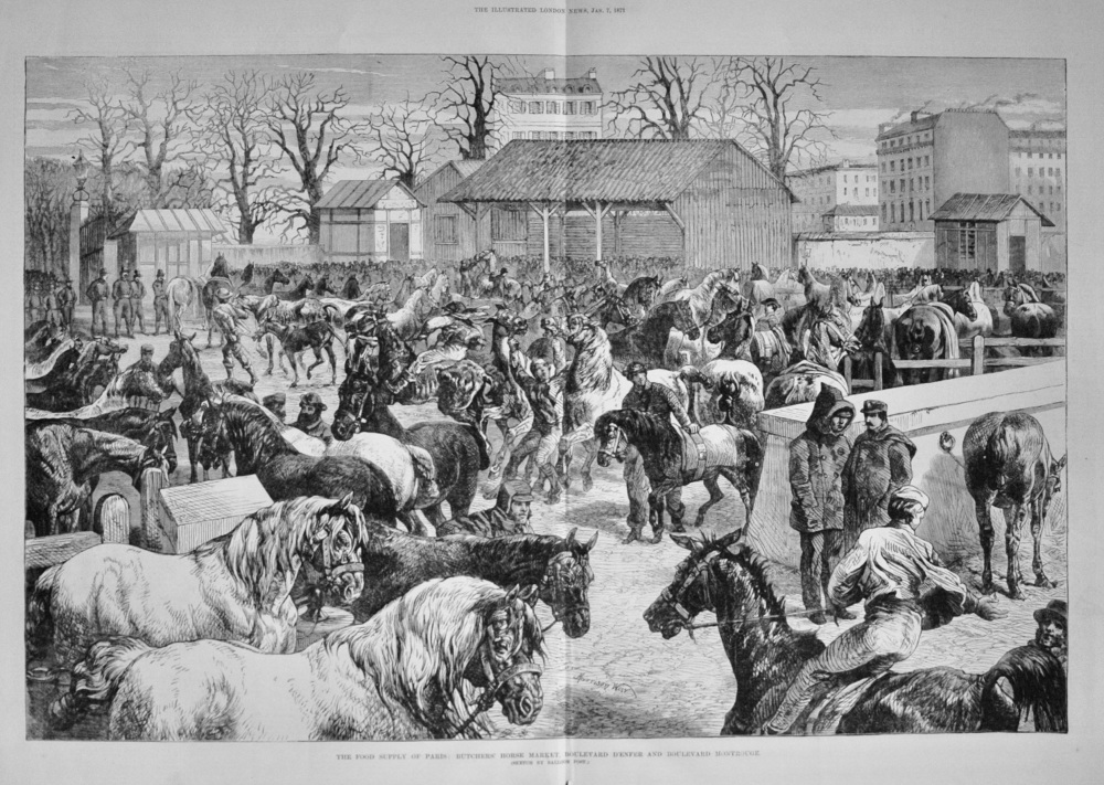 The Food Supply of Paris, Horse Market - 1871
