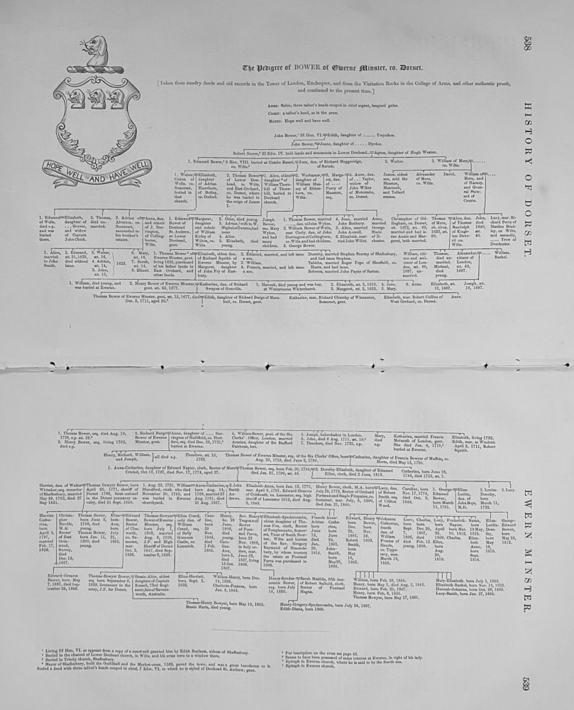 The Pedigree of BOWER of Ewerne Minster, co. Dorset.