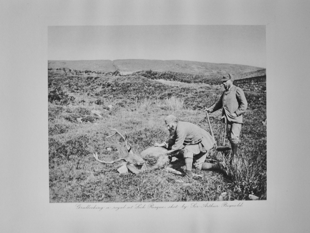 Gralloching a Royal at Loch Rosque - 1913