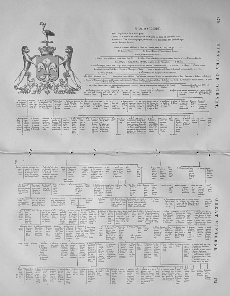 Pedigree of DIGBY,   Great Minterne,  Dorset.