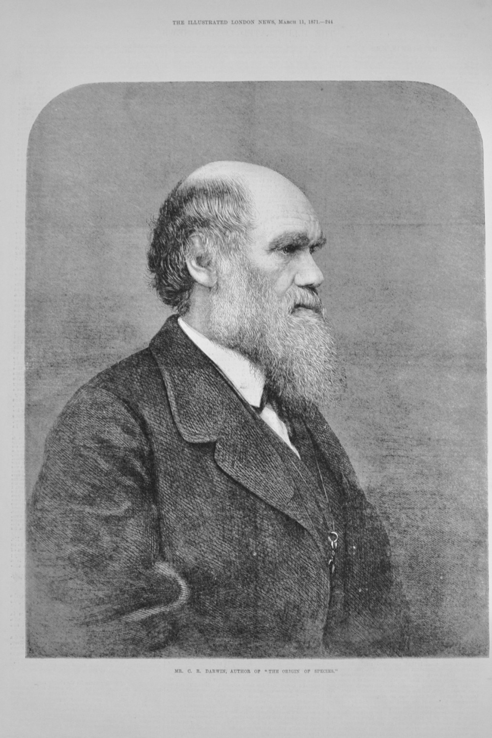 Mr C R Darwin, Author