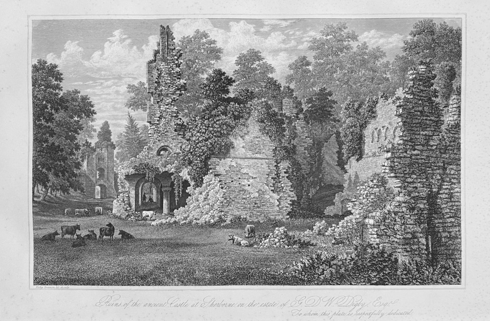 Ruins of the ancient Castle at Sherborne on the estate of G. D. W. Digby, Esq. 1870.