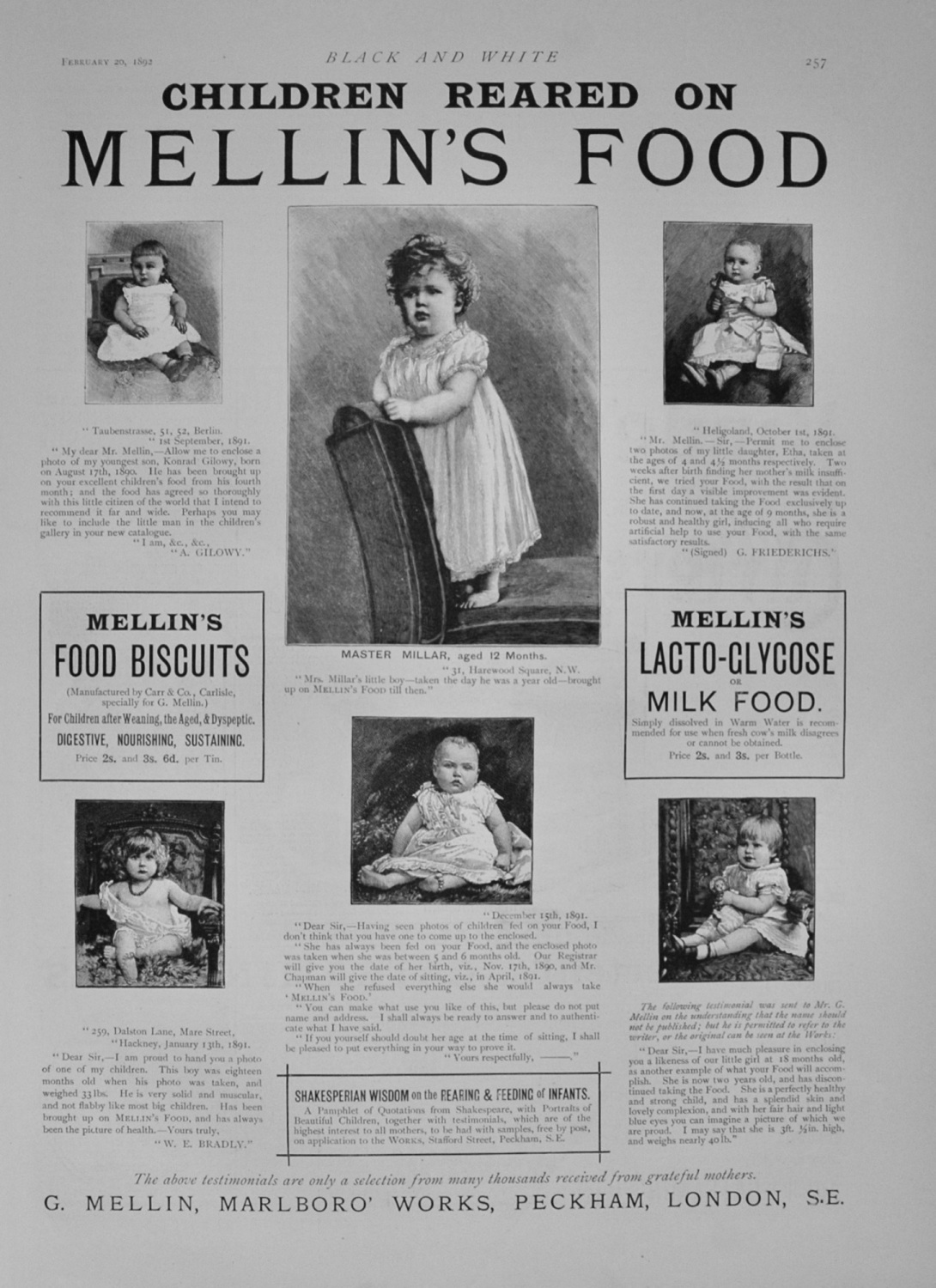 Mellin's Food - 1892