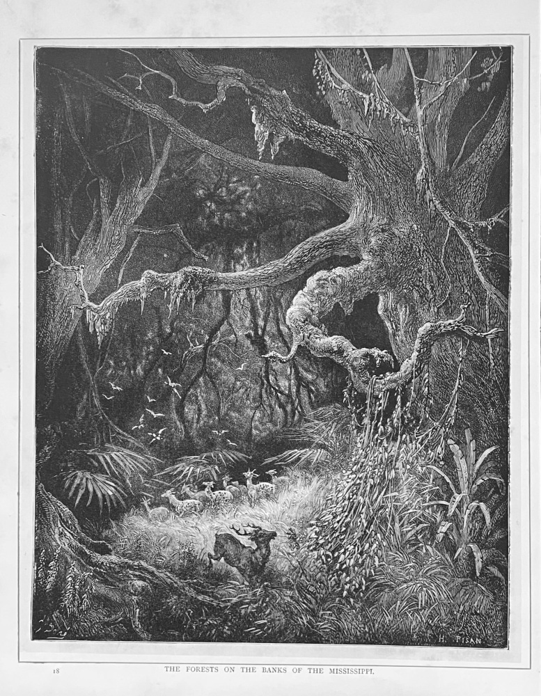 The Forests on the Banks of the Mississippi.  1890c.