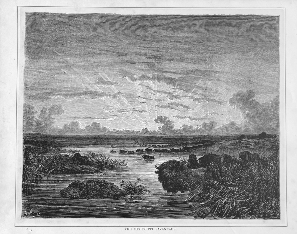 The Mississippi Savannahs.  1890c.