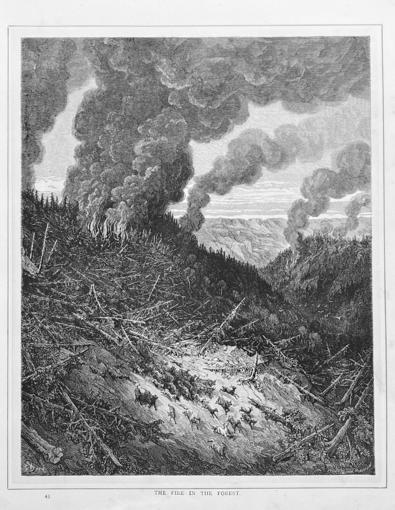 The Fire in the Forest.  1890c.