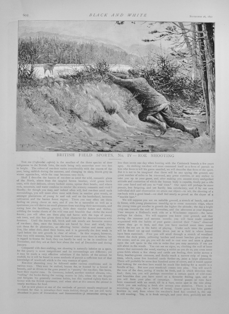 Roe Shooting - 1892