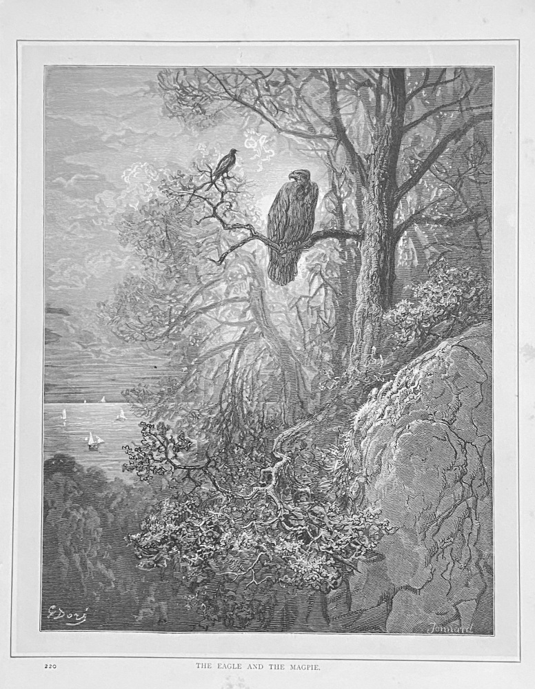 The Eagle and the Magpie.  1890c.