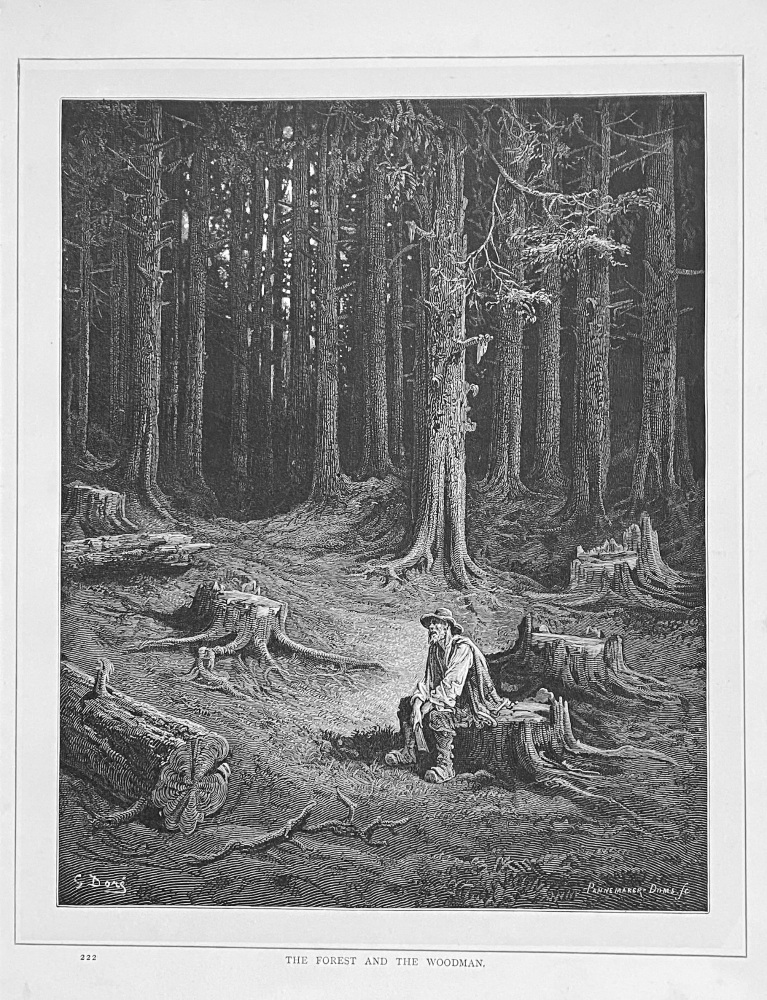 The Forest and the Woodman.  1890c.