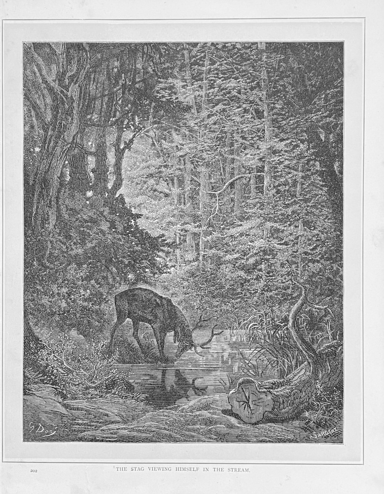 The Stag Viewing himself in the Stream.  1890c.