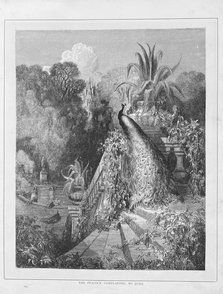 The Peacock complaining to Juno.  1890c.