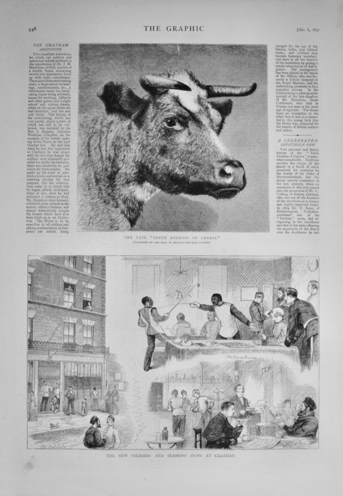 The New Soldiers' and Seamens' Home at Chatham - 1877