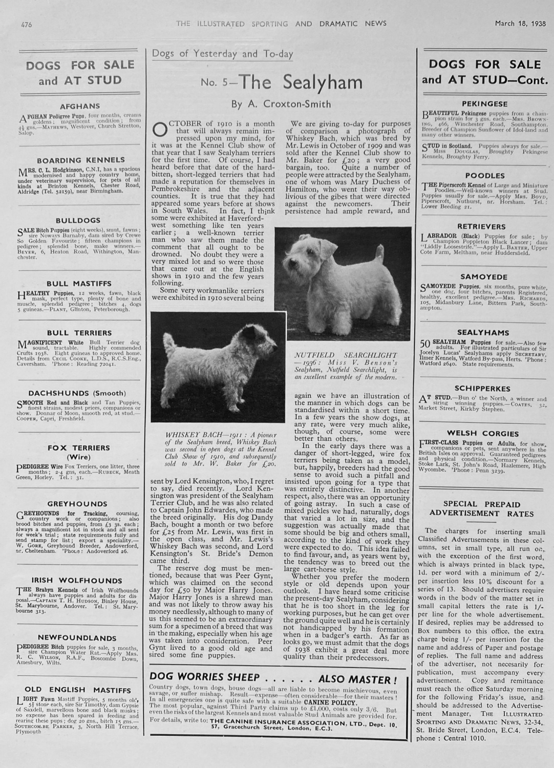 The Sealyham Dog - 1938