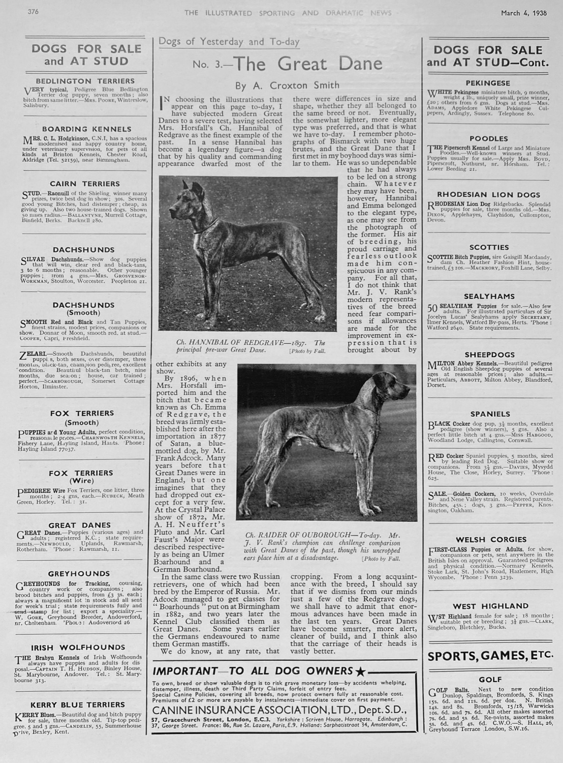 The Great Dane (Dog) 1938