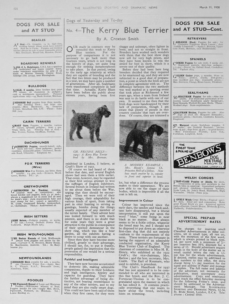 The Kerry Blue Terrier (Dog) 1938