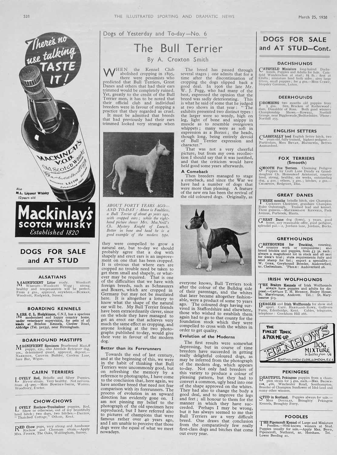 The Bull Terrier - 1938