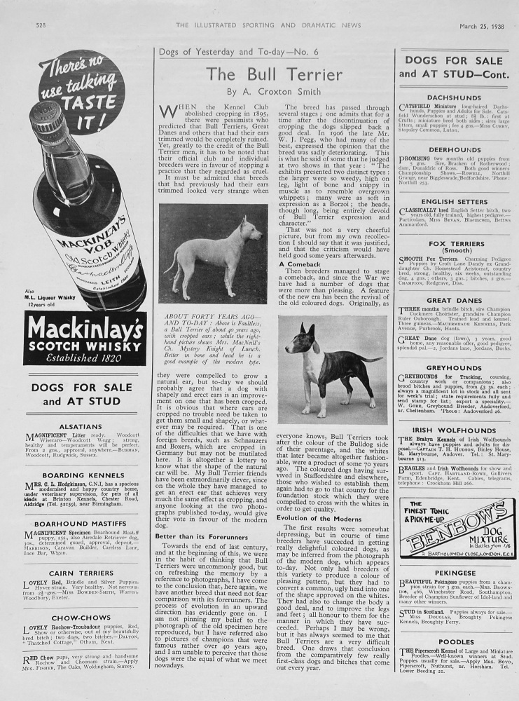 The Bull Terrier - 1938