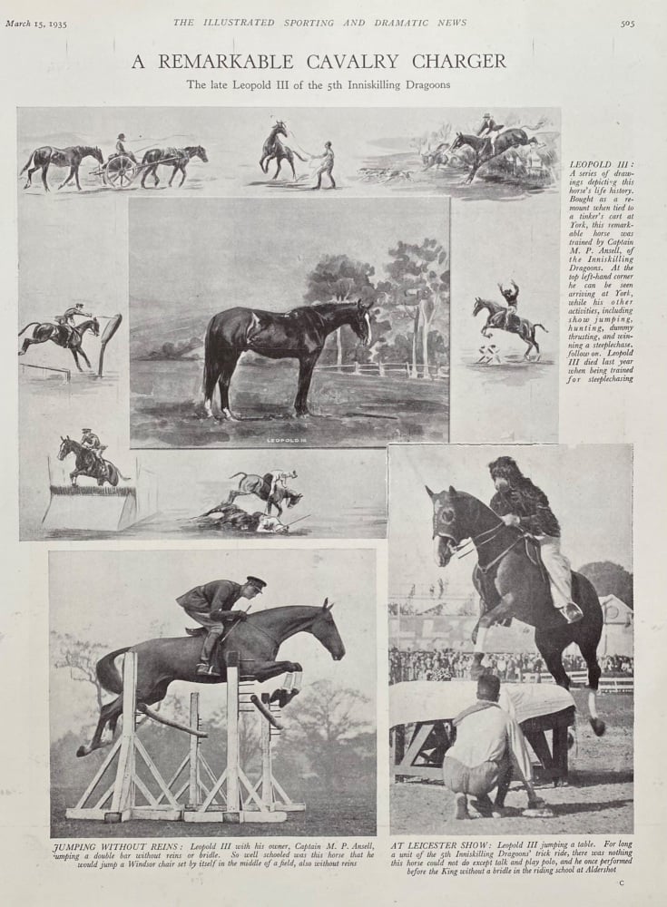 A Remarkable Cavalry Charger : The Late Leopold III of the 5th Inniskilling Dragoons.  1935.