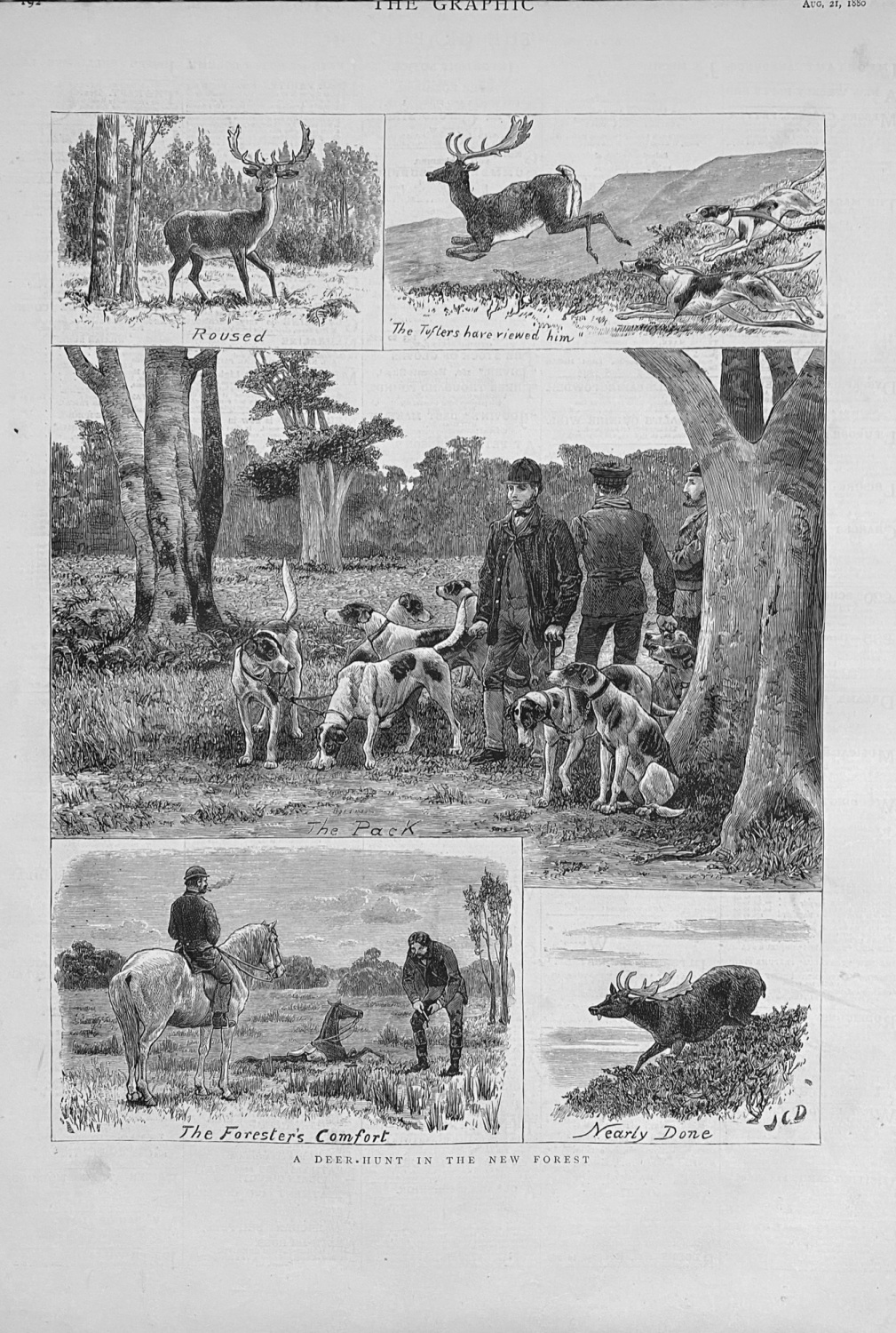 A Deer-Hunt in the New Forest - 1880