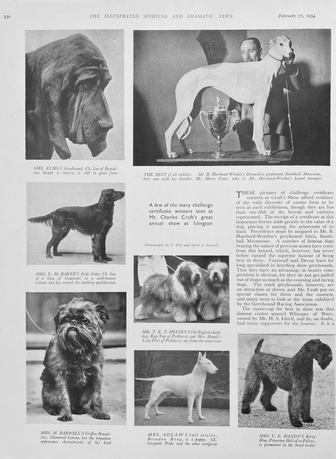 Cruft's Dog Show. 1934.