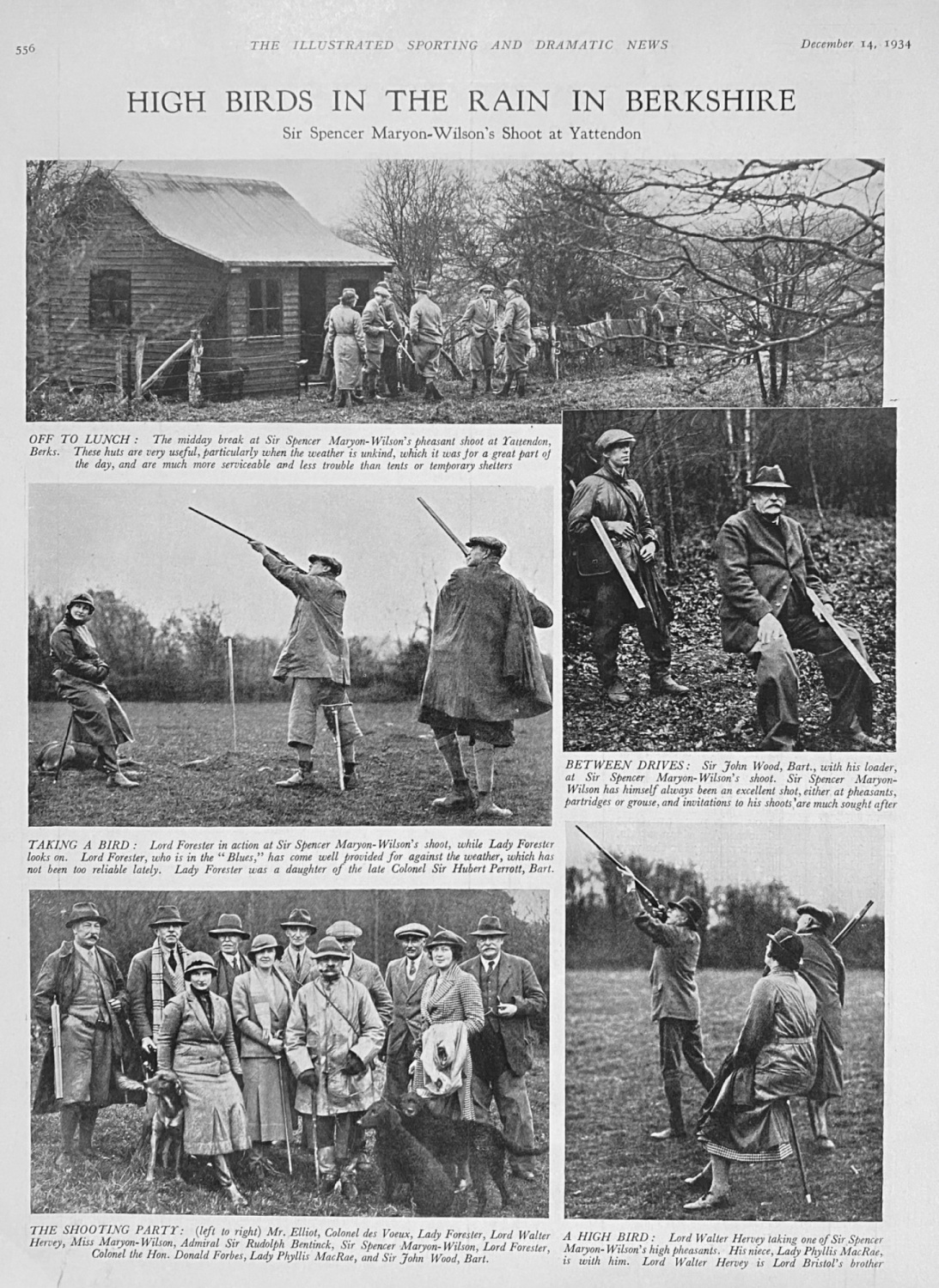 High Birds in the Rain in Berkshire.  1934.