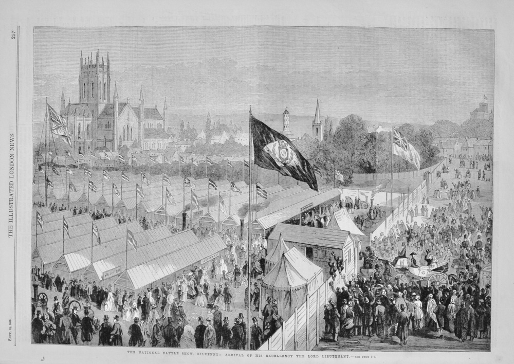 The National Cattle Show, Kilkenny - 1863