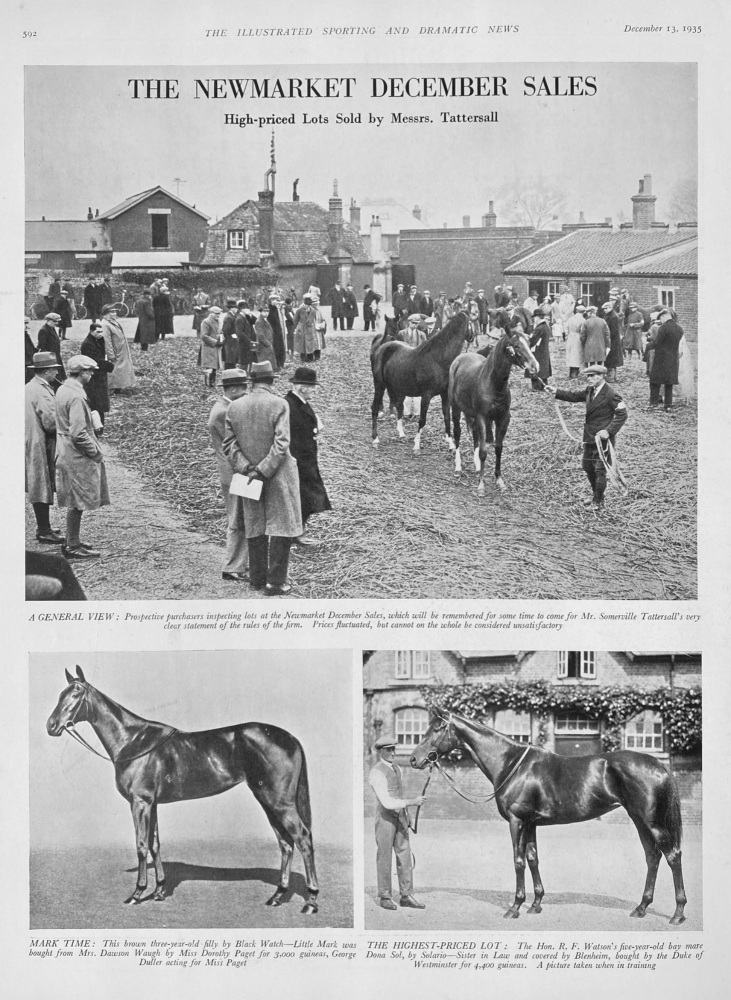 The Newmarket December Sales : High-priced Lots Sold by Messrs. Tattersall.  1935.