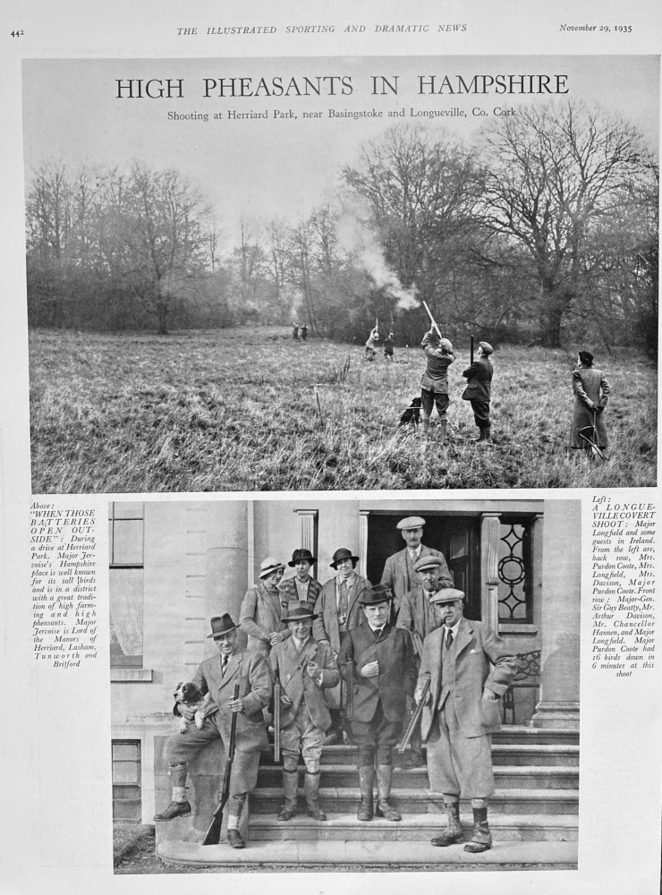 High Pheasants in Hampshire.  1935.