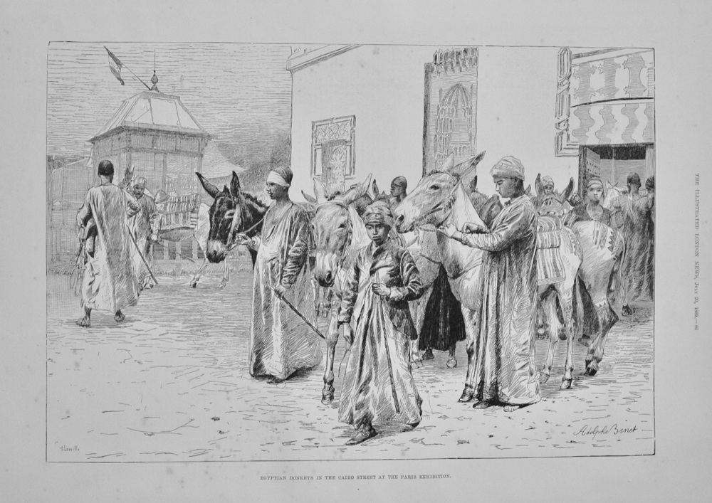 Egyptian Donkeys in the Cairo Street at the Paris Exhibition - 1889