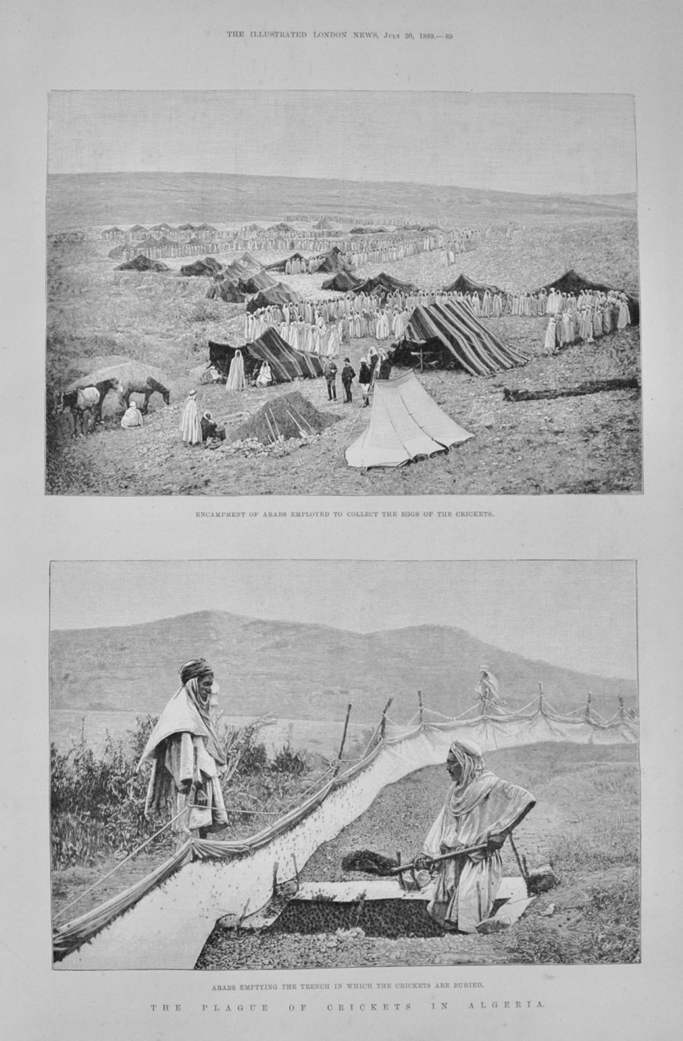 The Plague of Crickets in Algeria -1889